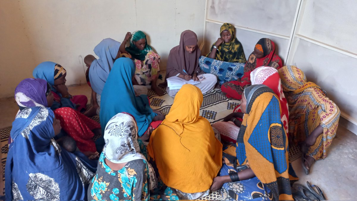 ZakariaHassanM's tweet image. @reado_org and @RESCUEorg concluded 2-days of safety audit assessment in #Baidoa_IDPs with the objective of assessing safety and security concerns for women and girls. #WGSS
