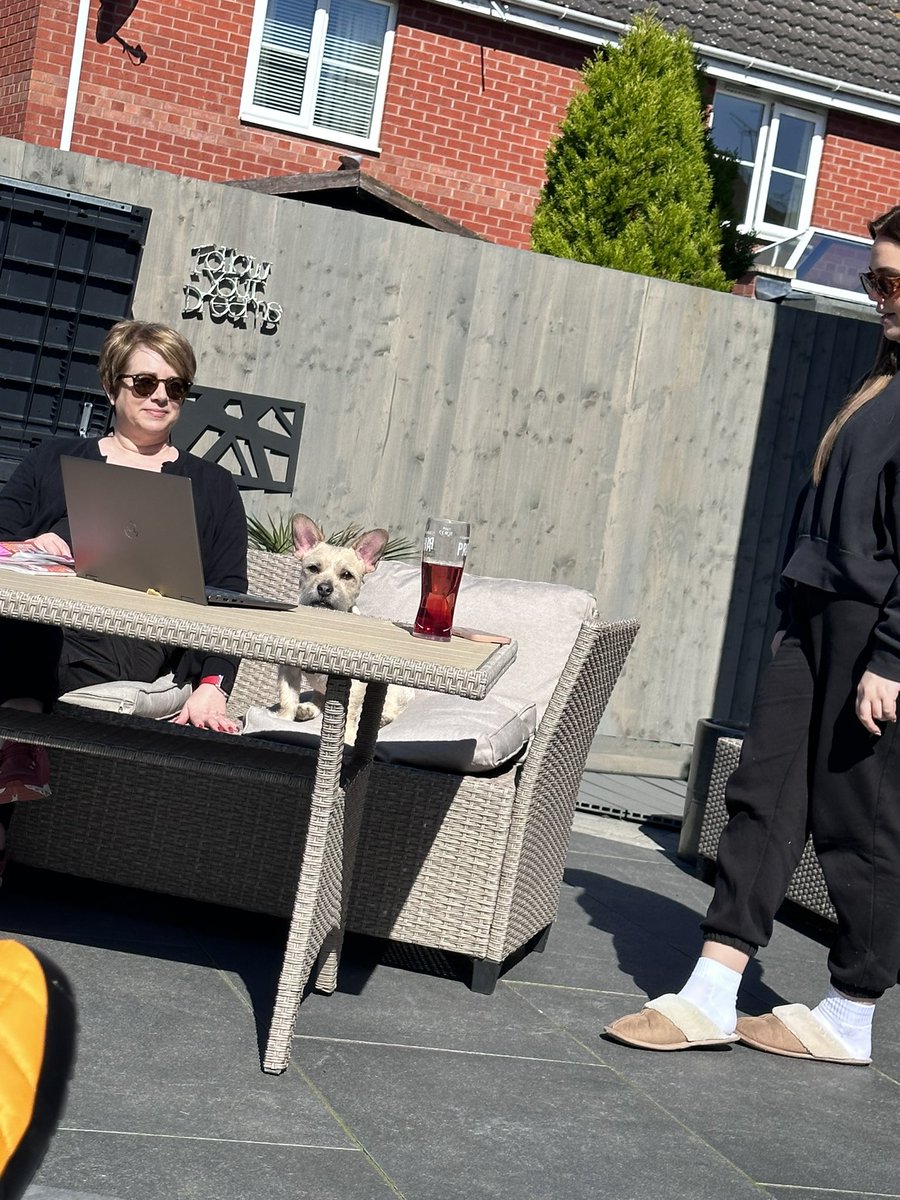 Blinds IN Glass 🟨 tweet media