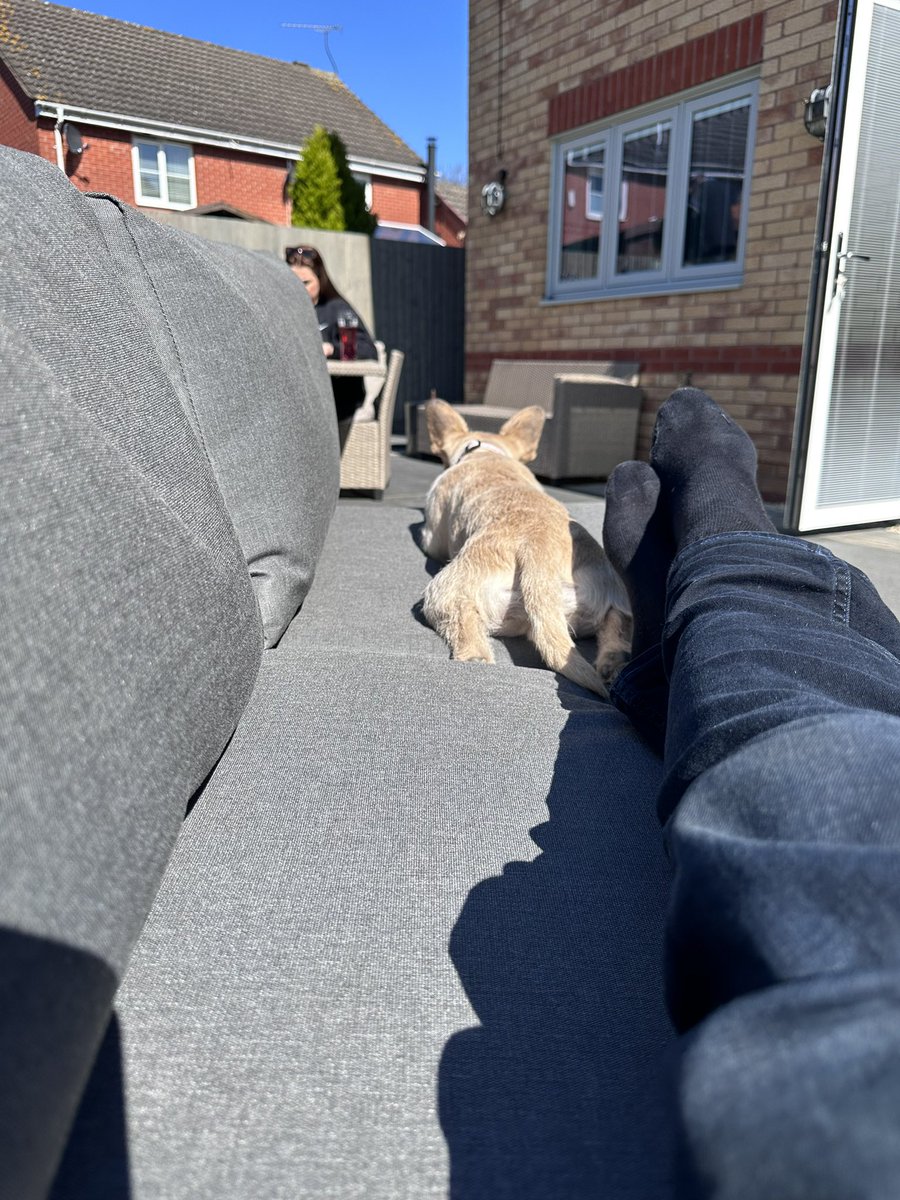 Blinds IN Glass 🟨 tweet media