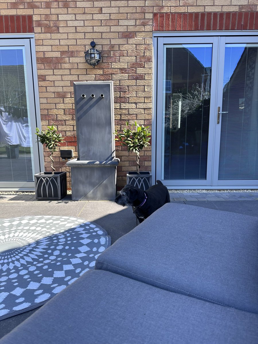 Blinds IN Glass 🟨 tweet media