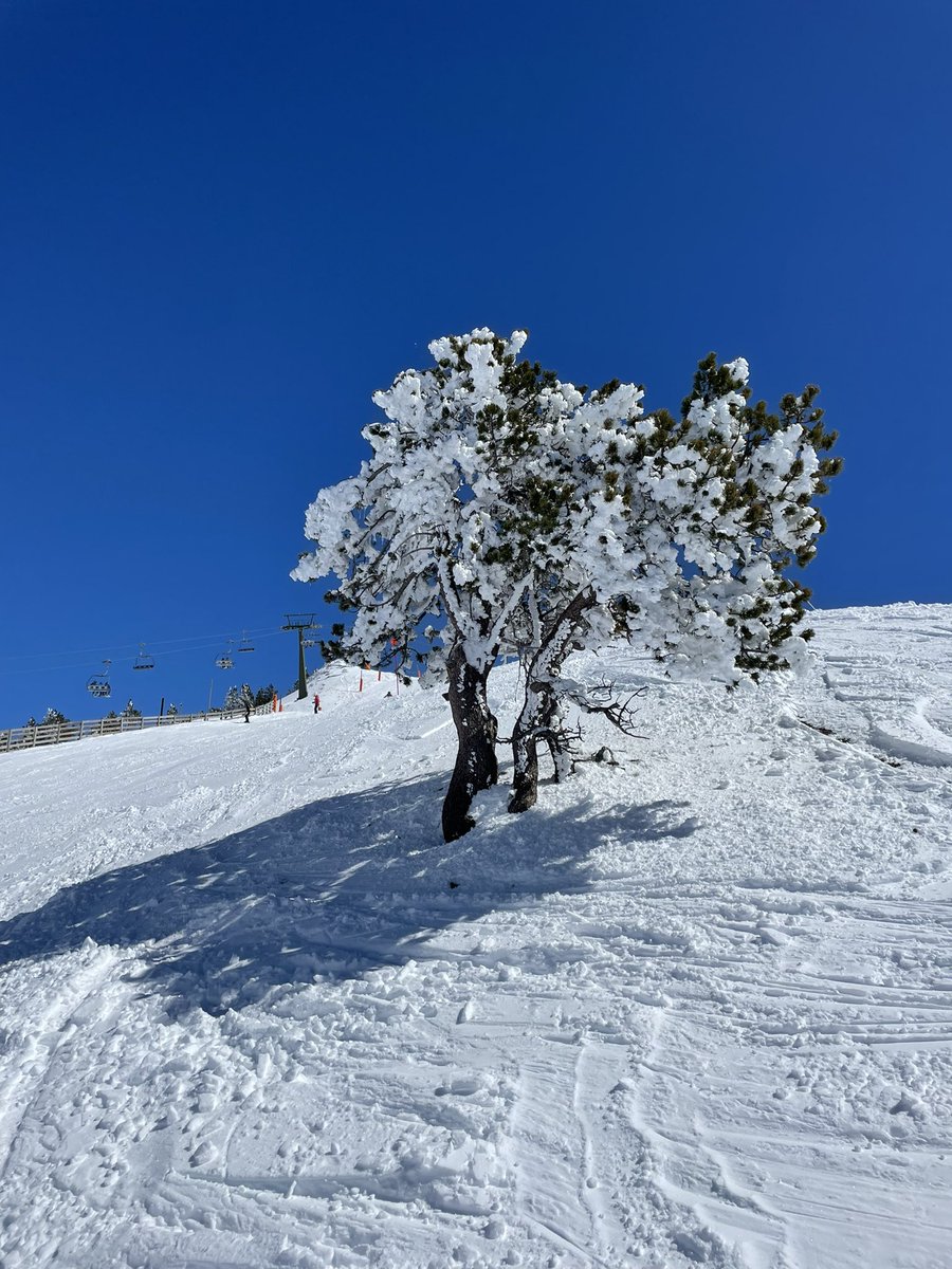 cprmaster's tweet photo. @baqueira_beret Buen martes 😉 https://t.co/7LUzZFa1bz