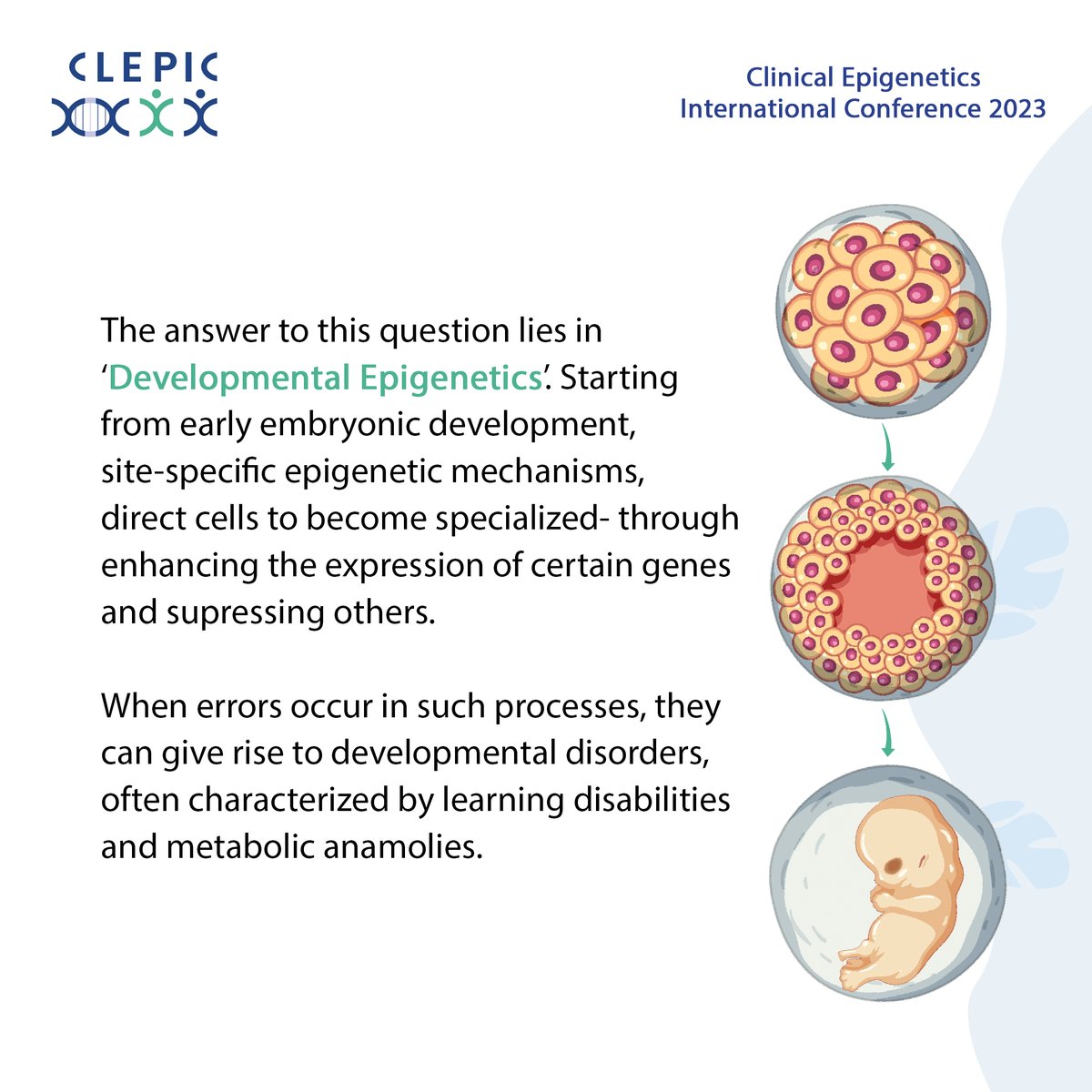 #Developmental #Epigenetics, the basis for cellular diversity and specialization. A key area of focus at #CLEPIC2023. 

@BRAINCITYWarsaw @NenckiInstitute @pumszczecin @Epigenetics @EpiExperts