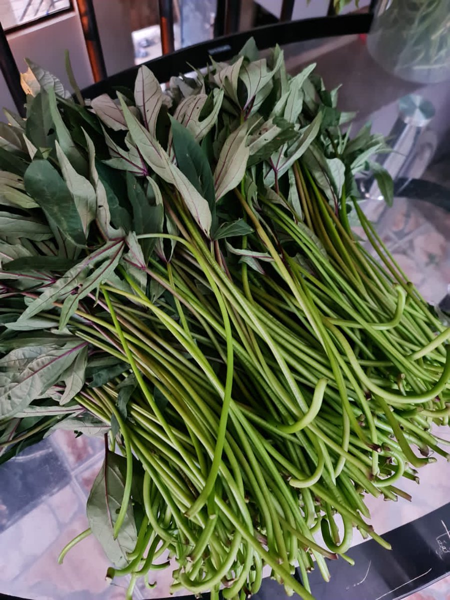 Pembejeo_Agric's tweet photo. Kwetu Sisi tunayaita #MATEMBELE..... Ila hapa tunasema tumeyaongezea Thamani kidogo Kwa maana tumeenda mpaka kwenye Vifungashio.....

"Added Value".......

#Maana halisi ya Kilimo #Biashara.......

@FARMCARE 

#HomeOfFarming...... https://t.co/EhdkvnW1IG