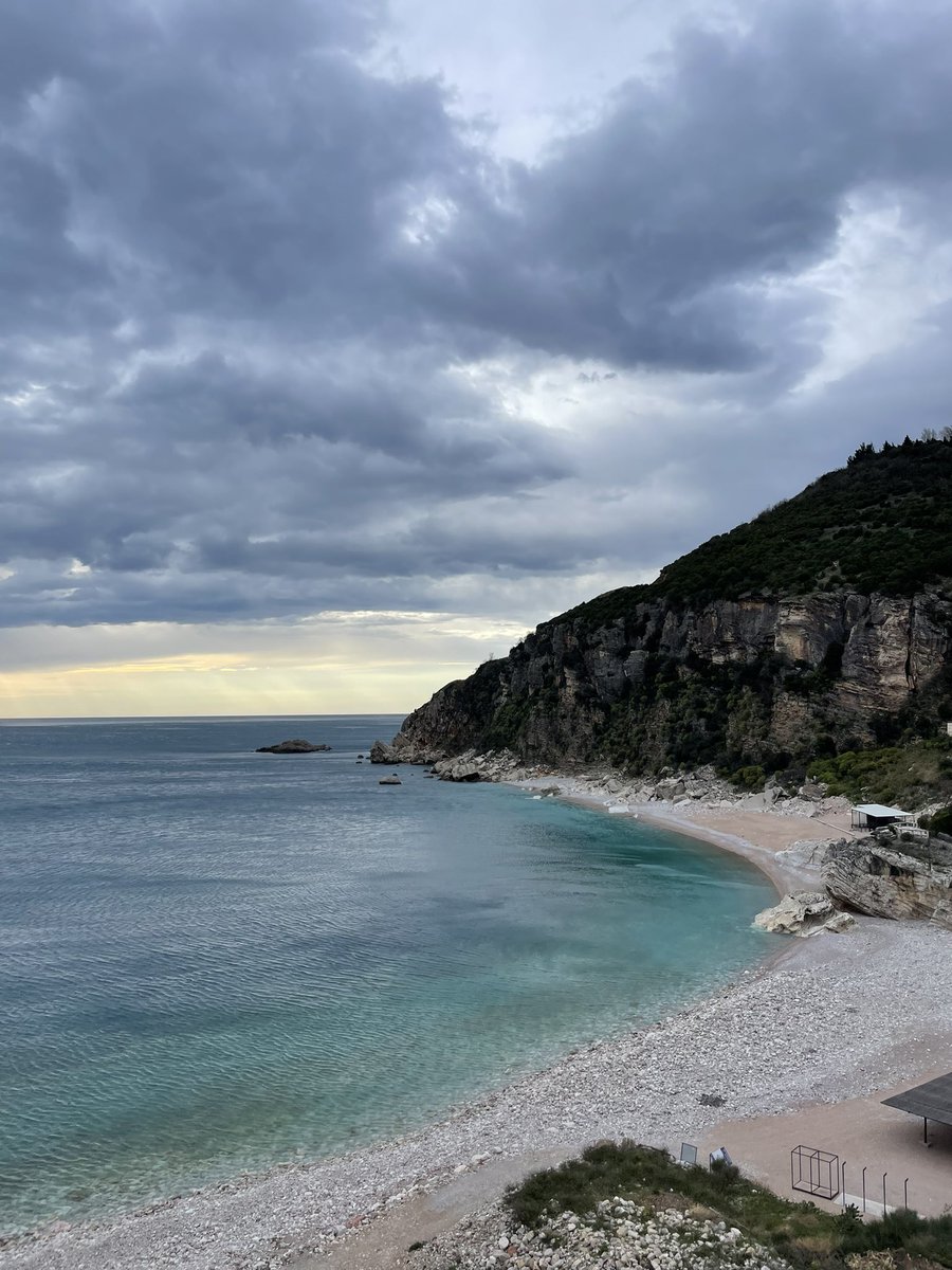 Varya.jpg tweet media