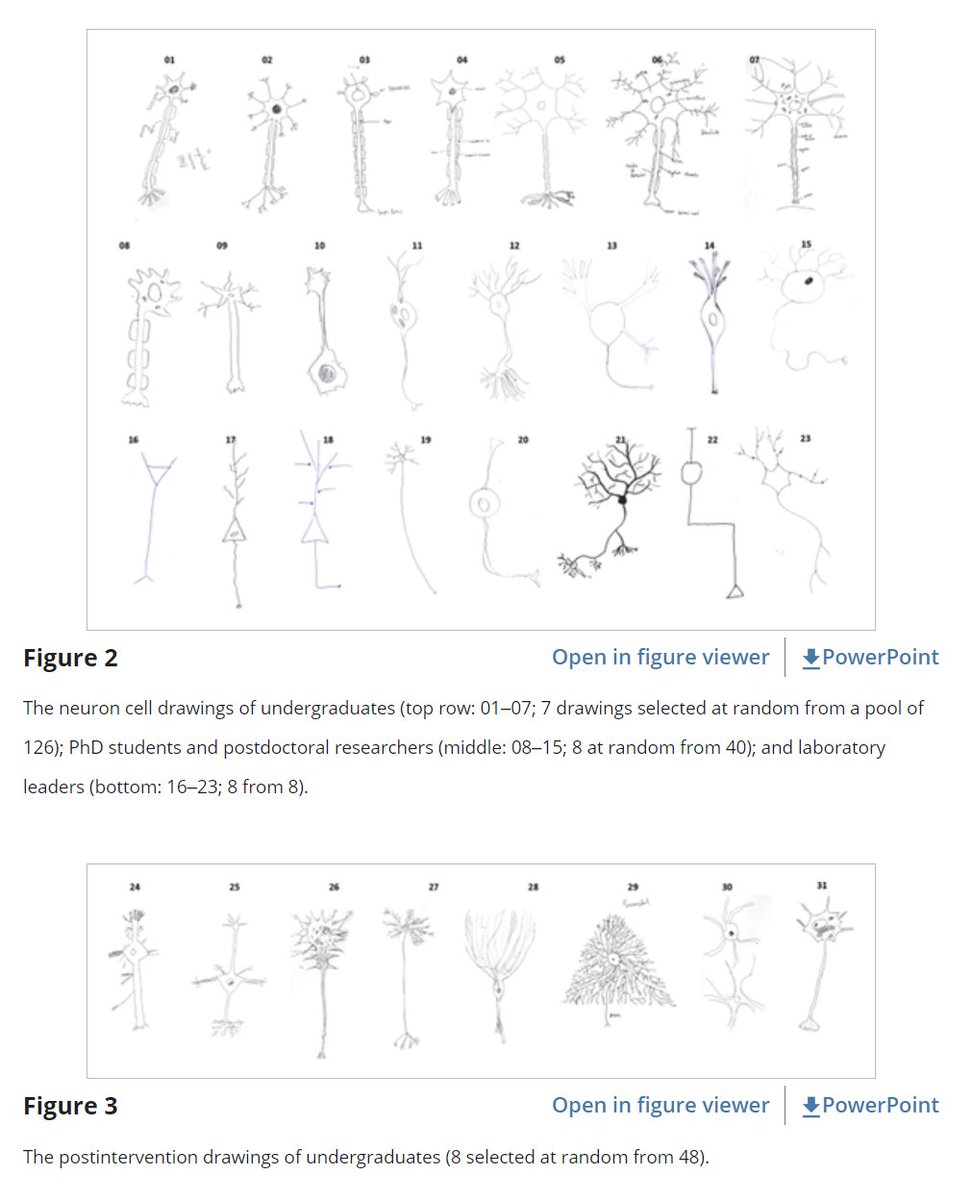 This is brilliant!

Fig 2. top row = undergrads (faithful drawings of awful textbook figures)
Fig 2. middle = grads (a little more stylized)
Fig 2. bottom row = PIs (more schematic)

Fig 3. undergrads, postintervention (many beautiful neurons)