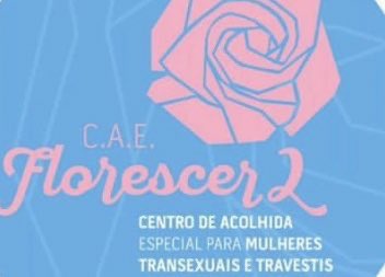 diário de umA travesti tweet media