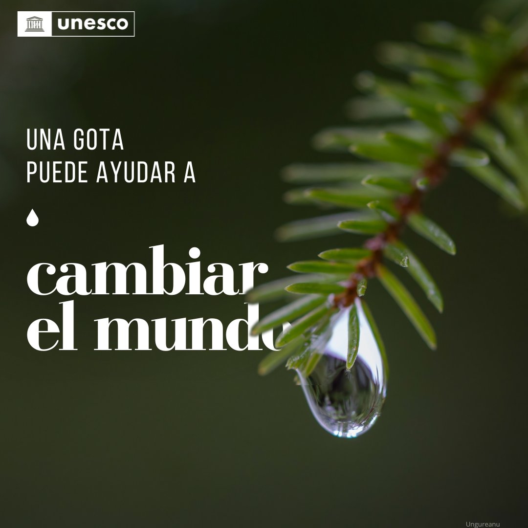 ONU_es's tweet photo. ¿Sabías que sólo el 0,5% del agua de la Tierra es dulce, utilizable y disponible?

El agua es un bien preciado y escaso. Ahorra agua siguiendo estos consejos:

🚿 Toma duchas cortas.

💦 No riegues en exceso.

🥘 Reduce el desperdicio de alimentos.

Vía @UNESCO_es https://t.co/KEc1hHMlUt