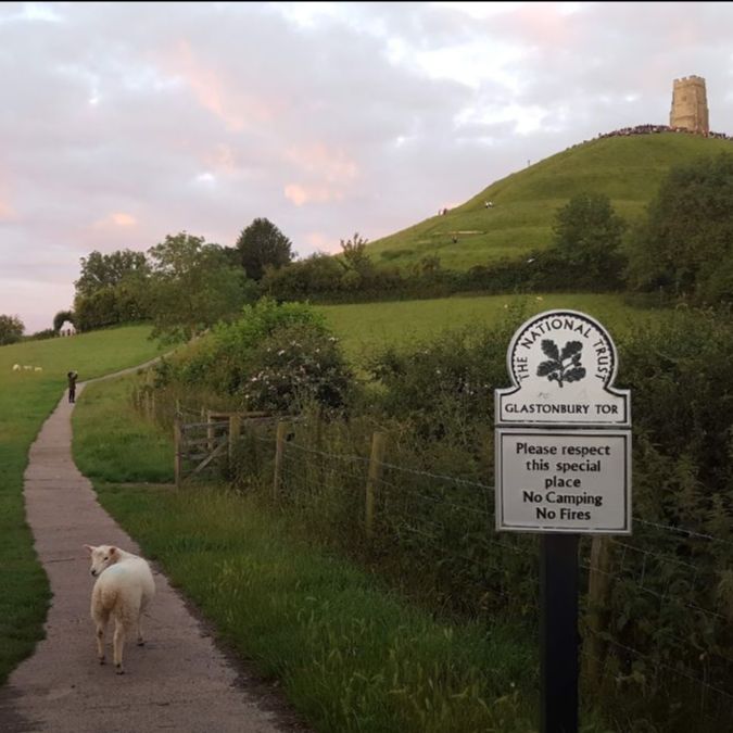 The Middlewick tweet media