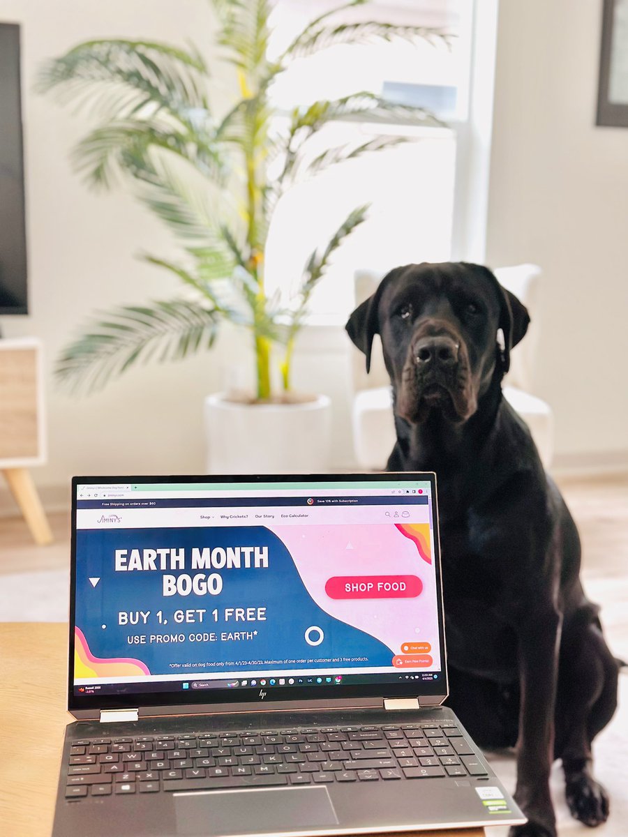 jiminysforpets's tweet photo. The entire month of April is buy one get one FREE on all food &amp; wet food 🦗🐾 WARNING: your dog may use your computer to place a big order 😉💻💰

#dogfood #foodfordogs #cricketprotein #insectdogfood #insectfood #earthmonth #sustainable #sustainability #savetheearth https://t.co/uRw4sJdfkV
