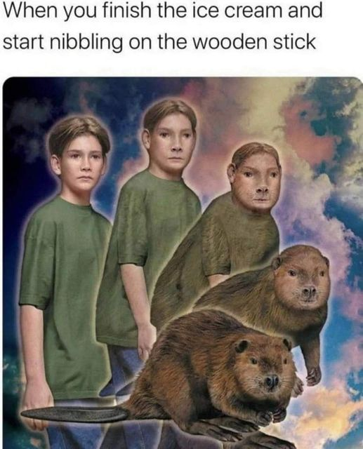 OrwellNGoode's tweet image. 