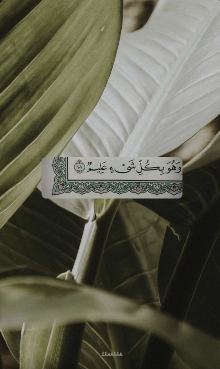 Aishah_hilon's tweet photo. https://t.co/NY6QyexcX6
