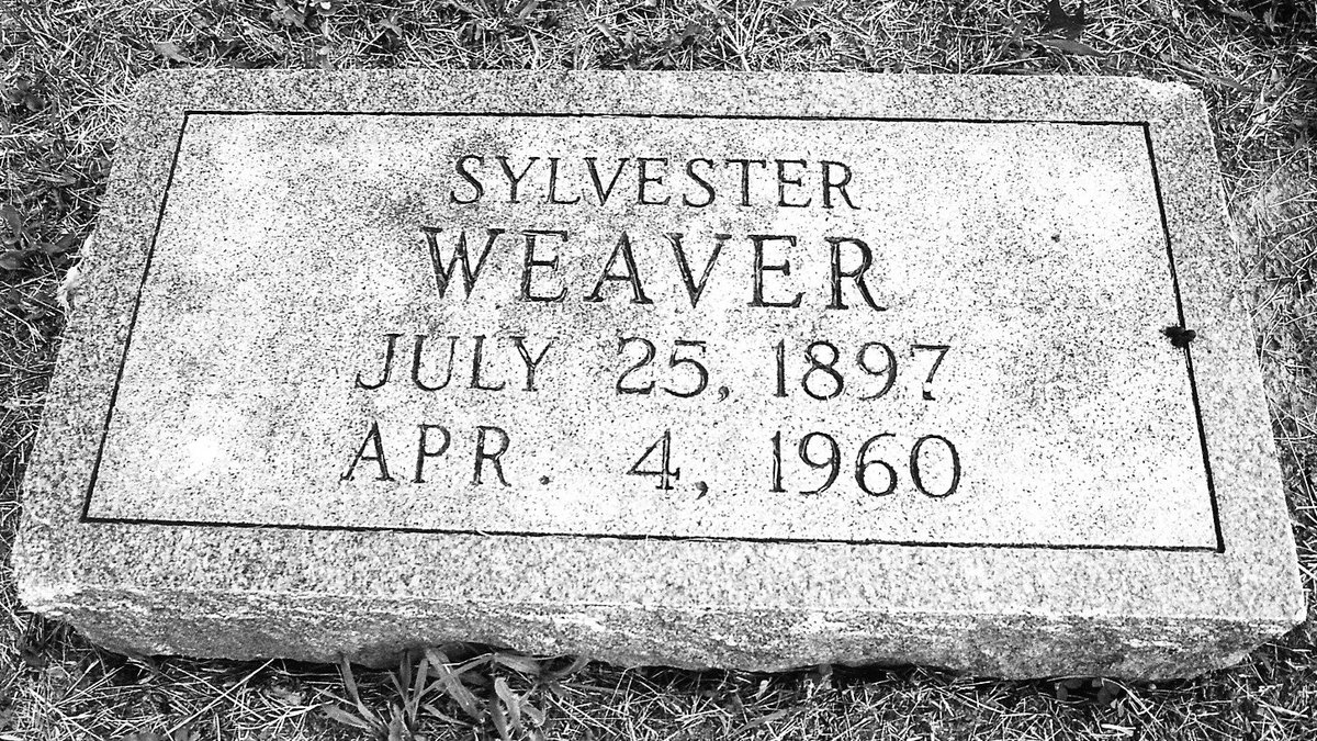 Killer Blues tweet media