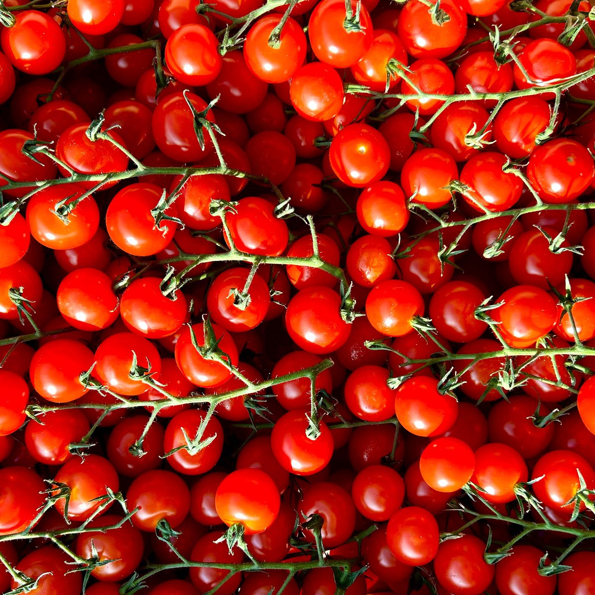 Bára (@barboratde) on Twitter photo Making fermented tomatoes!
Recipe by <a href="/Olia_Hercules/">Olia Hercules 🇺🇦🇬🇧</a>
#cookforukraine #standwithukraine Making fermented tomatoes!
Recipe by <a href="/Olia_Hercules/">Olia Hercules 🇺🇦🇬🇧</a>
#cookforukraine #standwithukraine