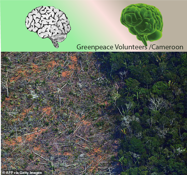 gpacamervol's tweet photo. Just because our brains are grey does not mean we have to paint the world grey. Let's have a green brain. 

@Greenpeaceafric https://t.co/5aBeJb4hLD