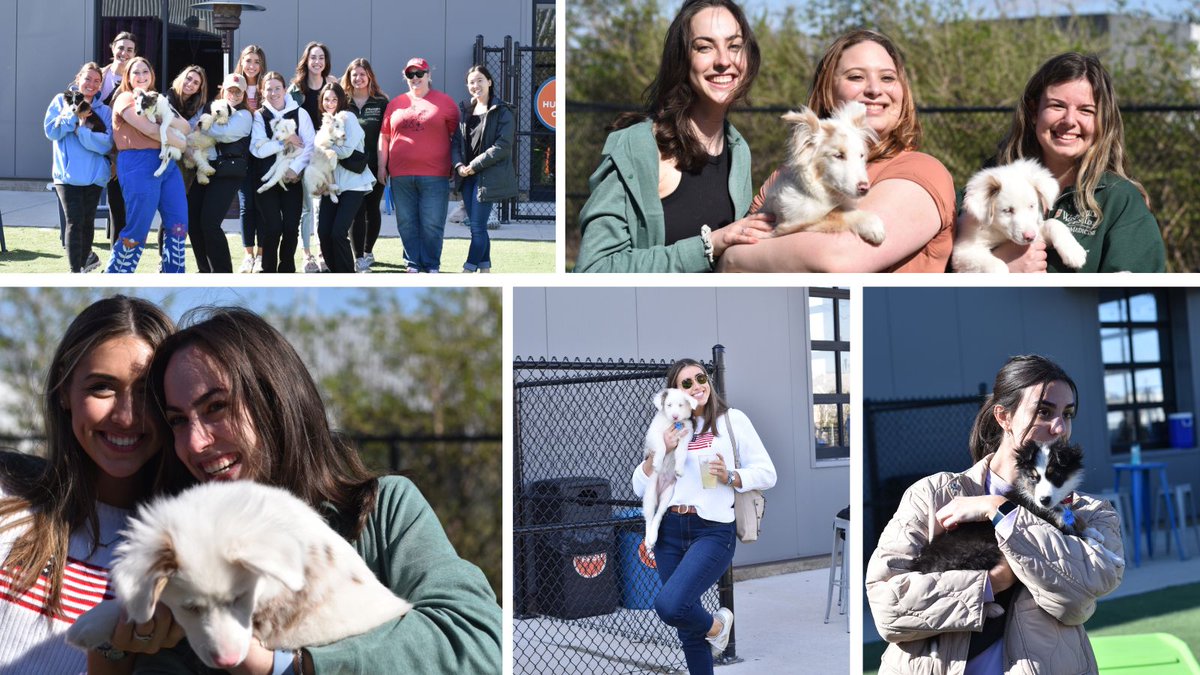 Huge congratulations to all the PACS students who organized the amazing 'De-Stress with Dogs' event! Great to see efforts towards health & wellness & interaction with @Gatewaypets & @speakstlouis. Thanks to #WashU @BeckerLibrary and Feuerstein Health & Wellness for their support!