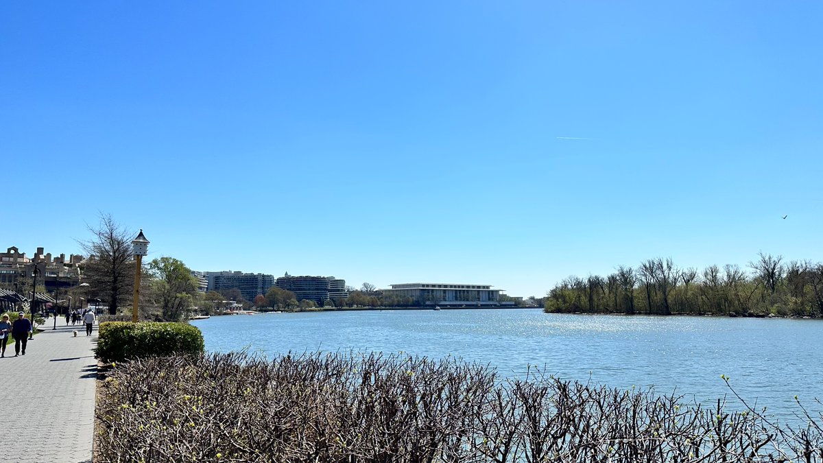 zepyaf's tweet photo. Un bref passage à Washington pour admirer la fin des #cherryblossoms à Georgetown au soleil, avant de rentrer cette nuit. #AF054 #AF055 https://t.co/Wy9jPUbqx6