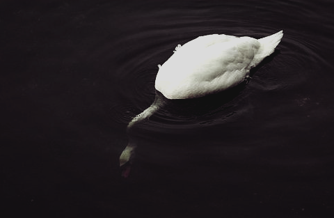 ❝ 𝐼 am jelous of those who think more deeply, who live better, who love better than 𝐼. 𝐼 think 𝐼 just want someone to tell me how to live my life, because so far 𝐼 think I've been getting it wrong. 𝐼 tried to talk to 𝐆𝐨𝐝, but the sky is 𝐞𝐦𝐩𝐭𝐲. ❞