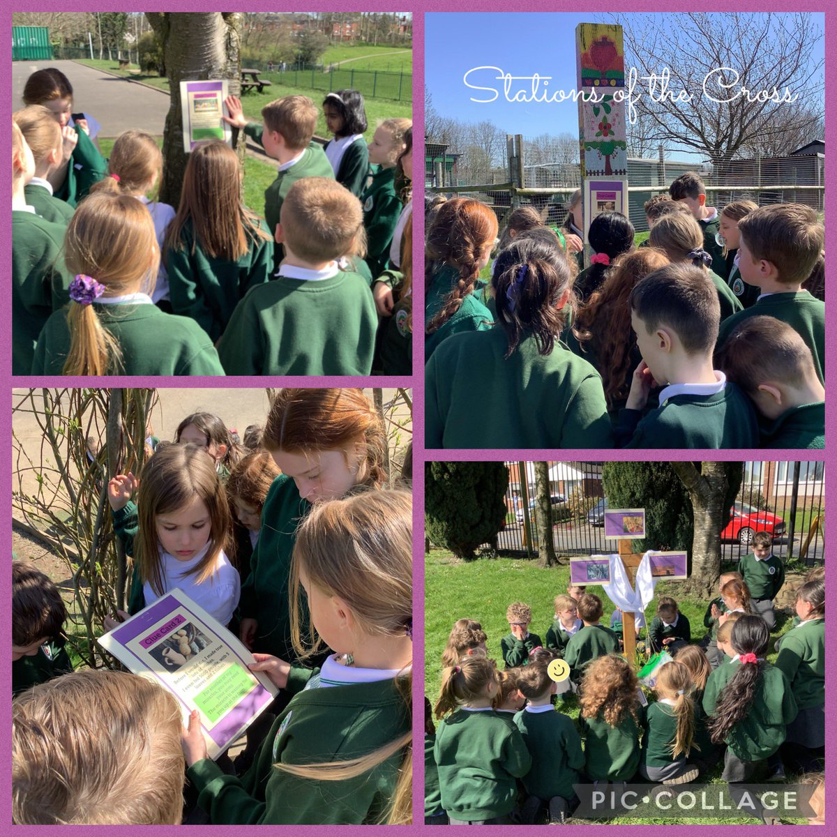 This afternoon we took part in a scavenger hunt around school, finding and sharing clues that led us to our cross. We reflected on Jesus’ sacrifice together and offered our prayers of love and gratitude 🙏🏼 #sjsbworship #sjsbliturgy #sjsbre #sjsbCLM #StationsOfTheCross #HolyWeek