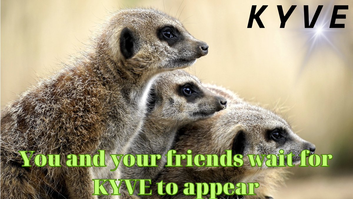 irenaxis's tweet photo. Coming soon @KYVENetwork https://t.co/2PWSQWAuom