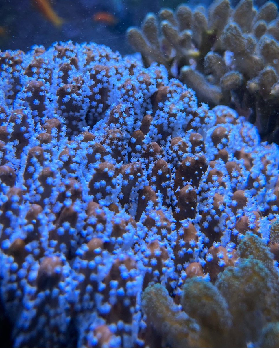 Matt Drysdale tweet media