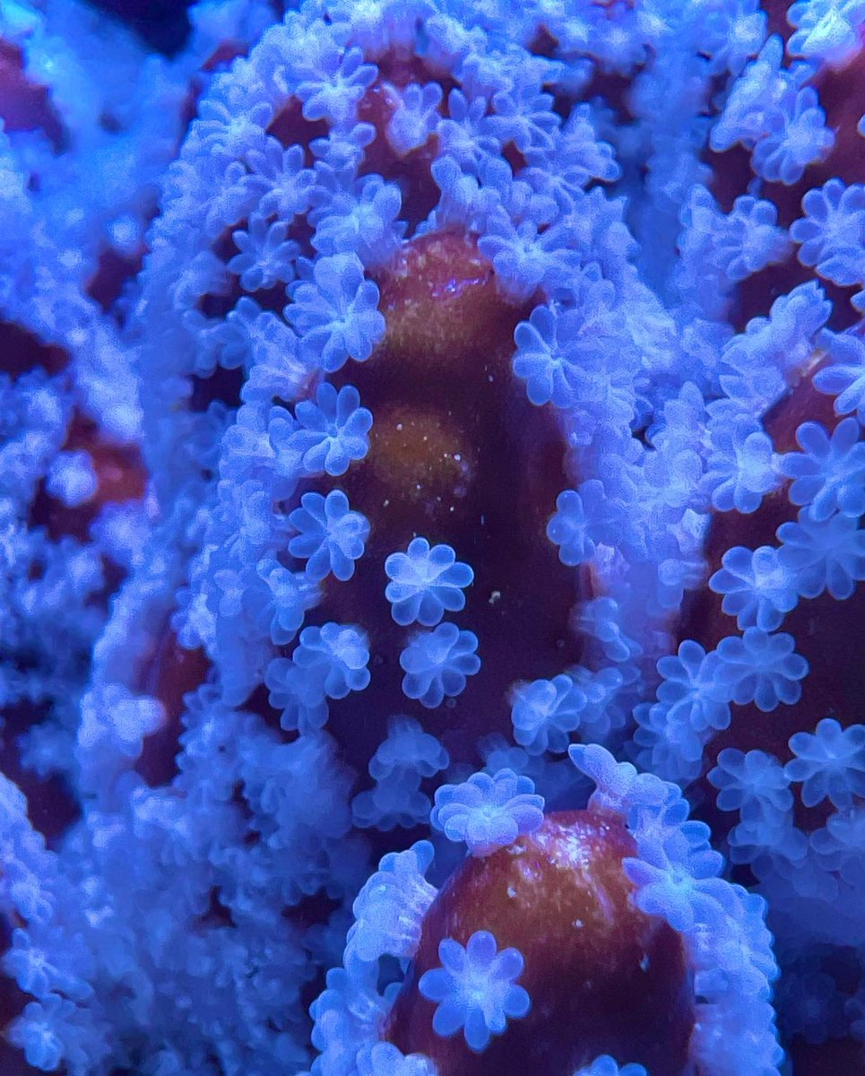 Matt Drysdale tweet media