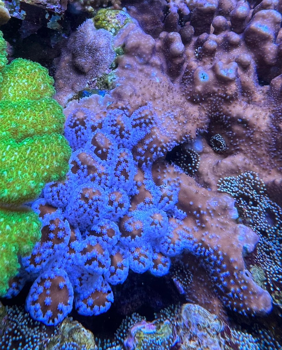 Matt Drysdale tweet media