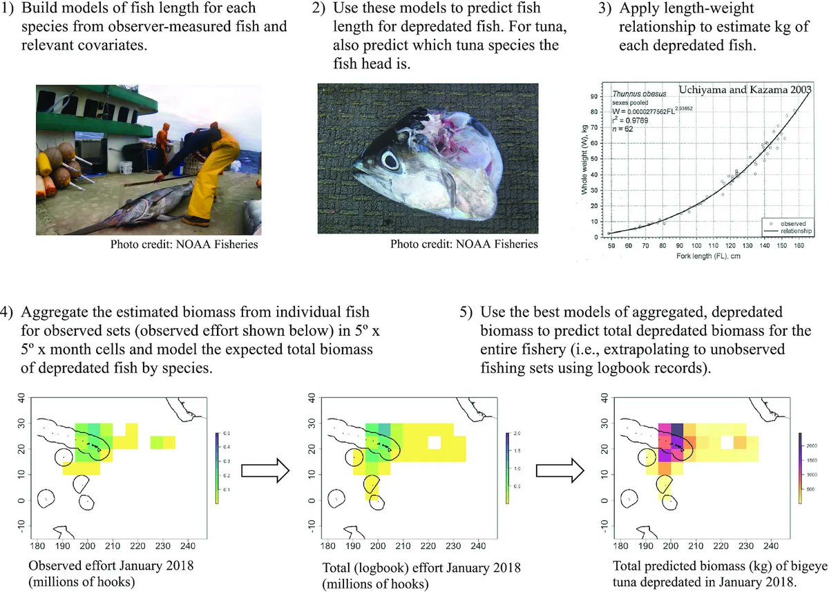 Canadian Journal of Fisheries and Aquatic Sciences tweet media