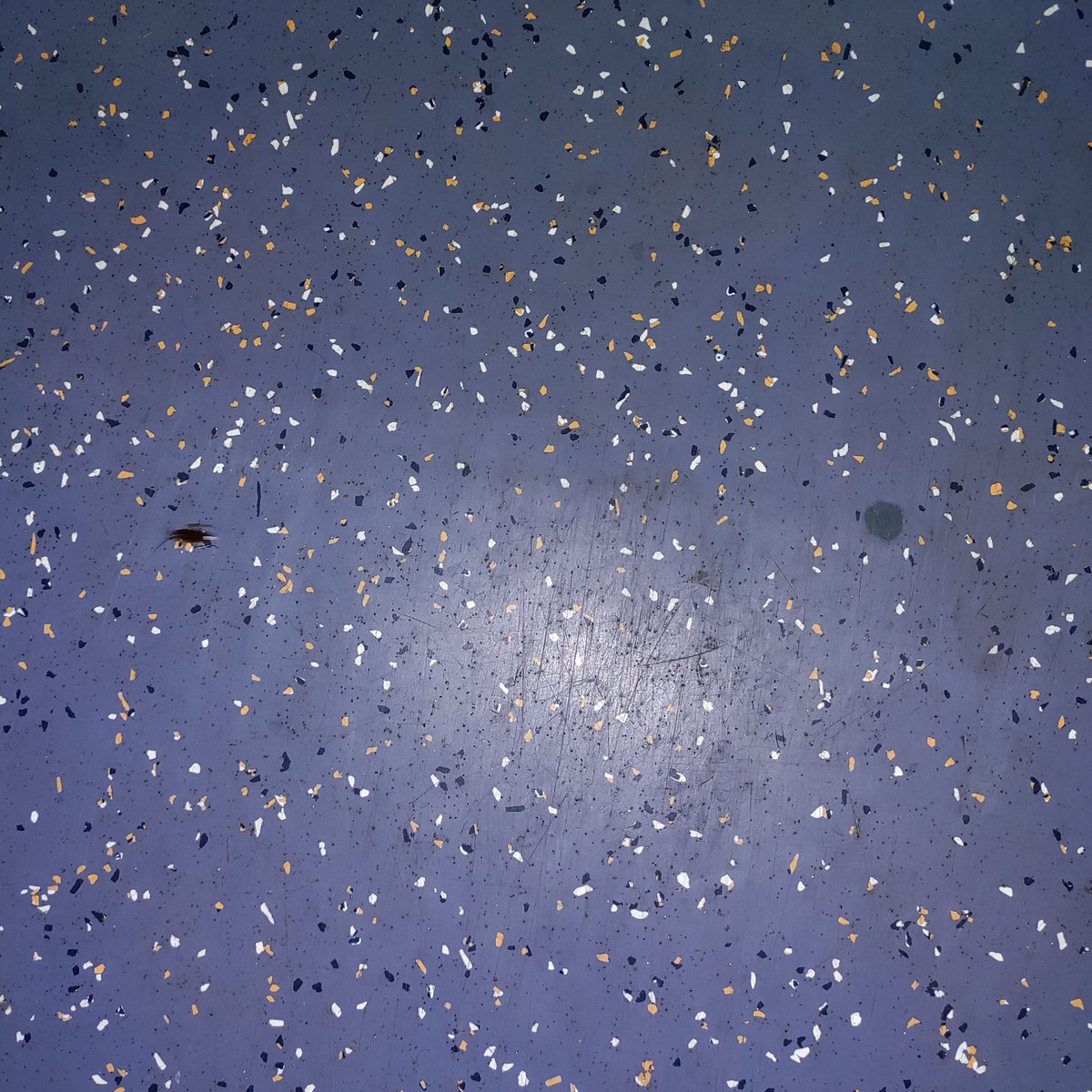 v_chintaparthi's tweet photo. @RailMinIndia Please clean the coaches in Rayalaseema express (12793). Bugs are roaming all around the seats and berths. https://t.co/b9n3oTsswM