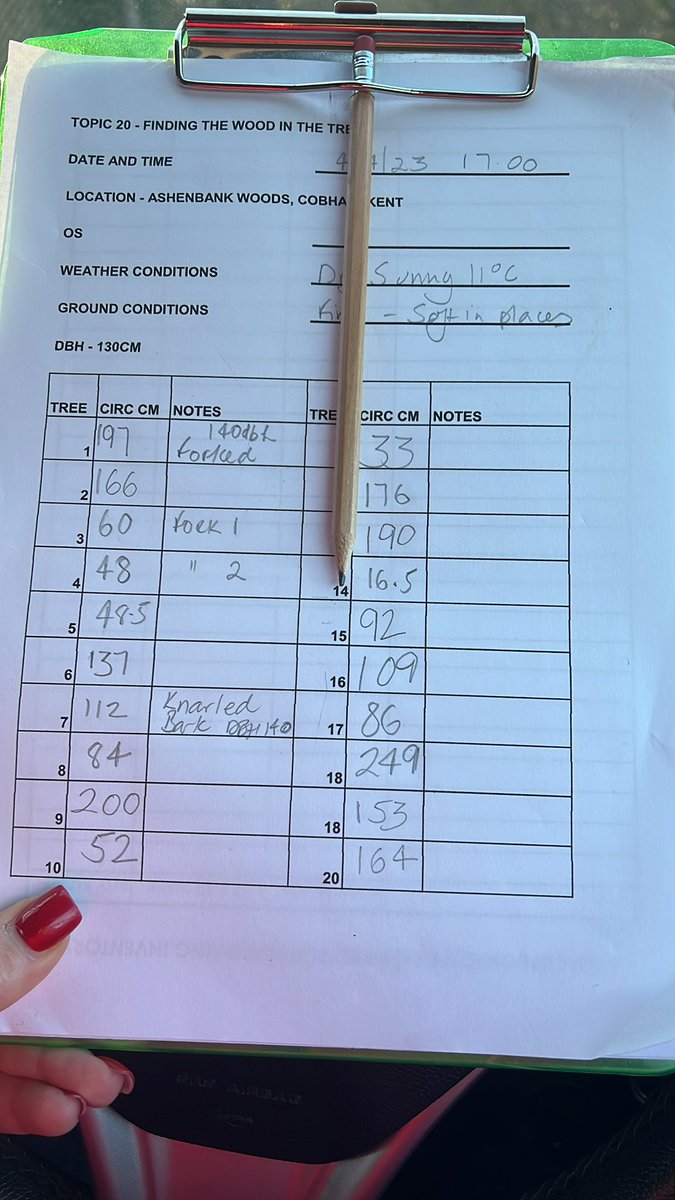 wendyk1501's tweet photo. Trees measured. It was nice being out in the sunshine. Time for coffee ☕️ #scientistinthemaking https://t.co/40xcwJIbmG