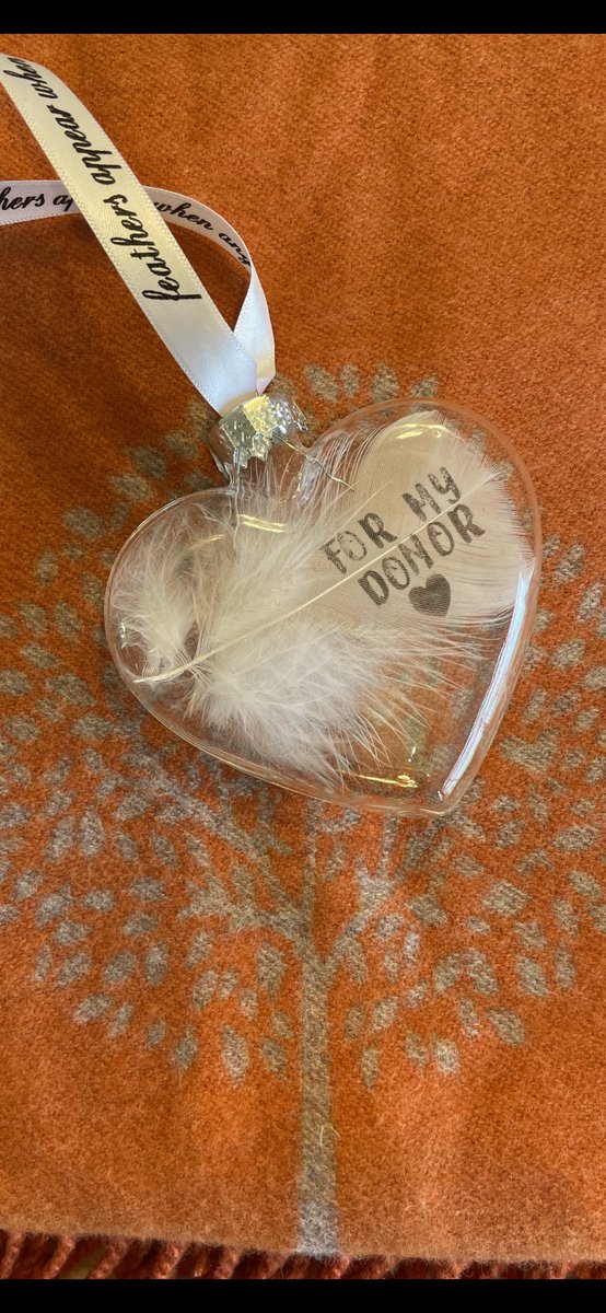 Today, marks my 10th liver transplant anniversary!  Having a transplant has given me my health back, made many happy memories with family, friends and strangers!  I’m forever grateful to my selfless donor and her family for the “Gift of life” she has given me 💚