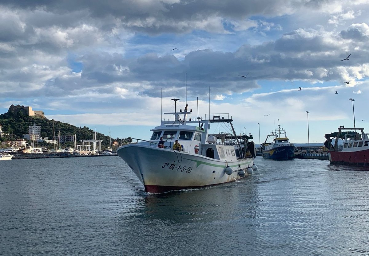 S’aixeca la veda biològica per a la flota pesquera d’arrossegament. A l'enllaç podreu llegir la notícia: 

👉🏼 confrariesdegirona.cat/fi-de-la-veda-…