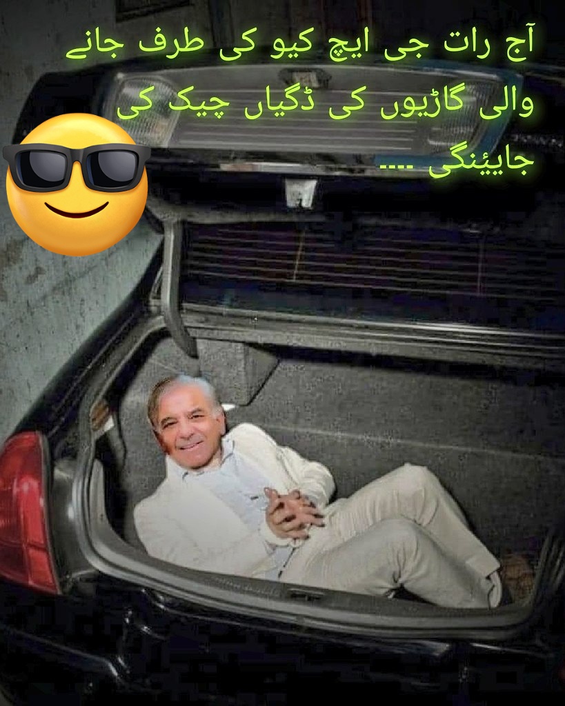 Abida M Gardezi (@gardezimabida) on Twitter photo 