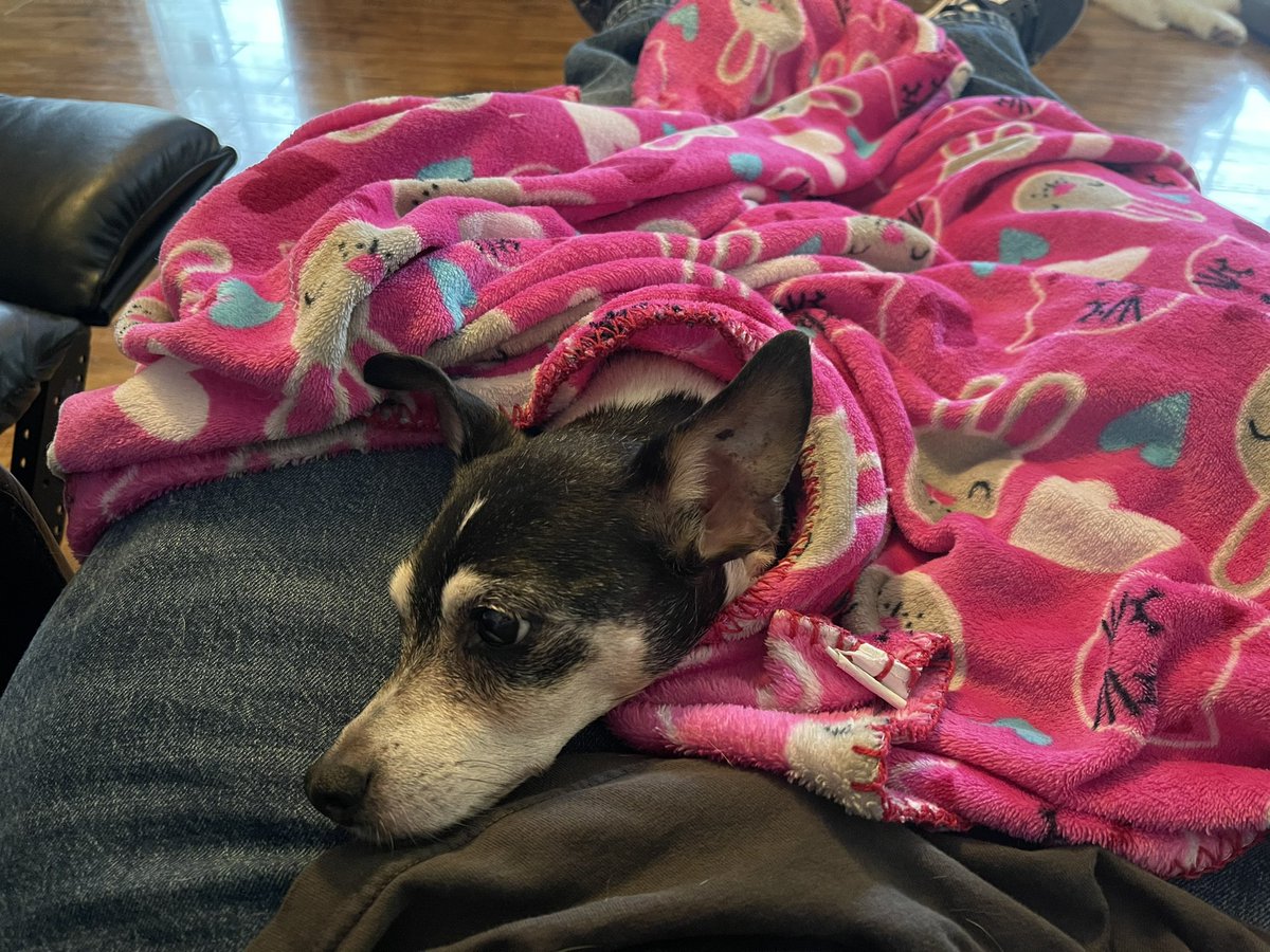 Greg Gifford tweet media