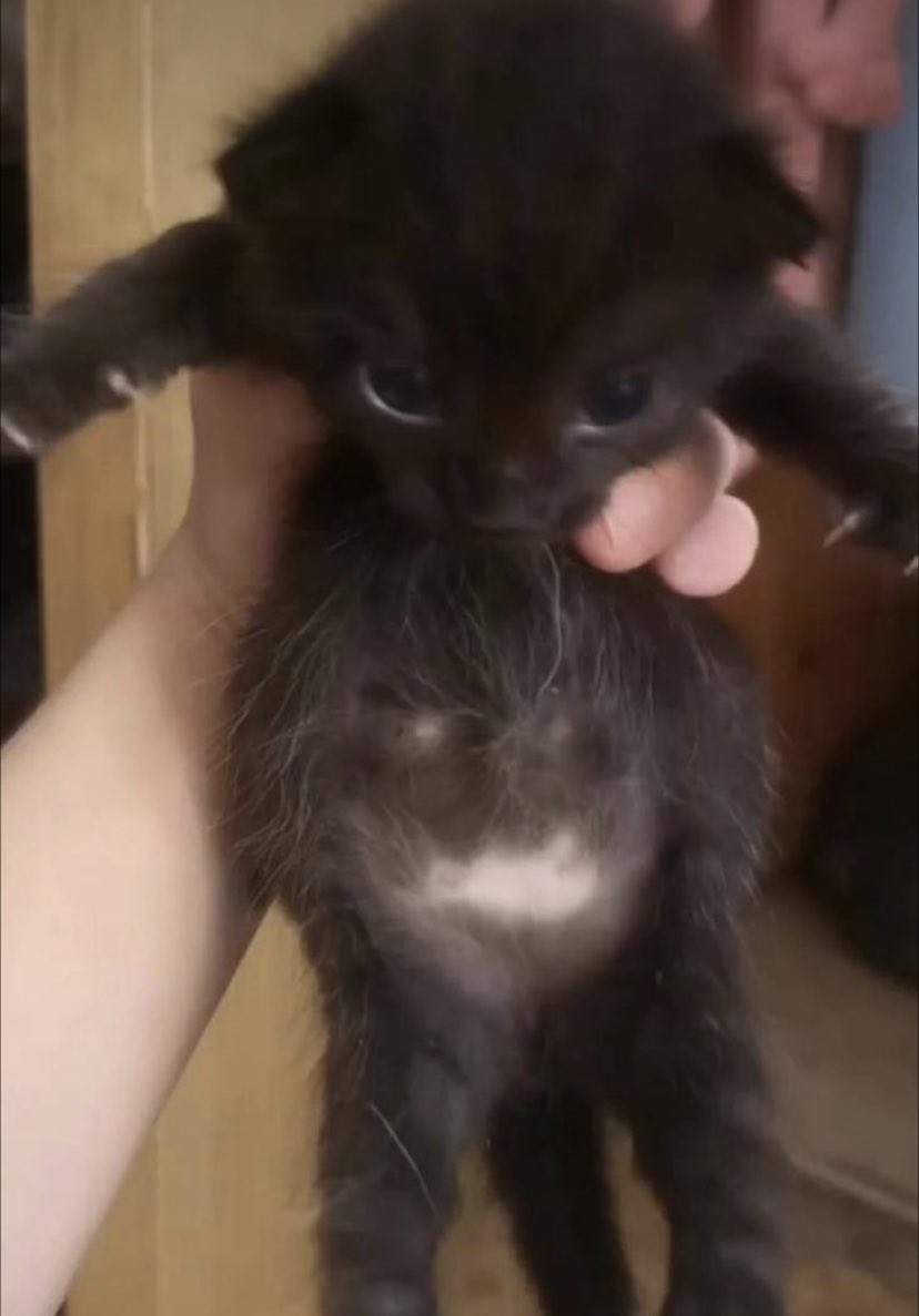 ie  att'',e  da t,,,unna