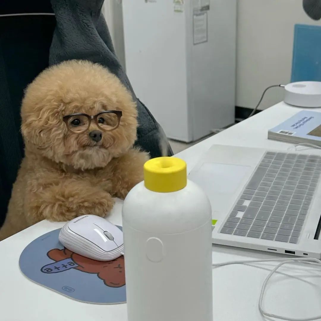 I wonder what he's working on