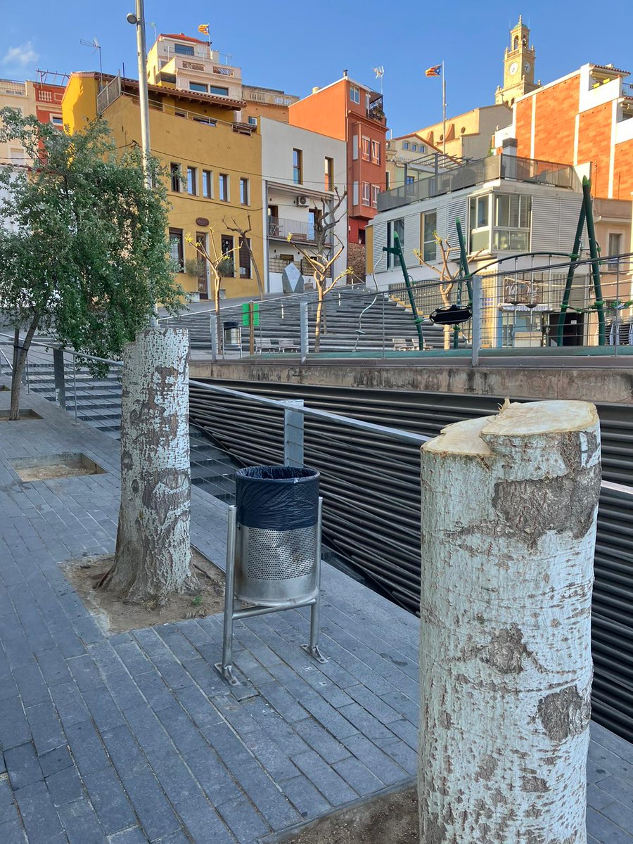 <a href="/elmasnou_cat/">Ajuntament del Masnou</a> <a href="/arboles_magicos/">Los Árboles Mágicos ®️, (by Oscar Gaitan)</a> <a href="/SostenibiliCat/">Sostenibilitat i RSC</a> <a href="/ecologistes/">Ecologistes en Acció de Catalunya</a> <a href="/GreenpeaceCAT/">Greenpeace Catalunya</a> <a href="/diba/">Diputació de Barcelona</a> <a href="/ccmaresme/">CC Maresme</a> <a href="/MaresmeLV/">Maresme LV</a> <a href="/UPCSostenible/">UPC Sostenible</a> <a href="/ecoXarxa1/">EcoXarxa</a> <a href="/100EcoMasnou/">100%EcologismeMasnou</a> <a href="/CPMaresme/">Preservem El Maresme 🌳 1️⃣5️⃣ANYS</a> @liniaxarxa <a href="/324_comarques/">324 Comarques</a> <a href="/maykanavarro/">Mayka Navarro 🐾🐕🐕 🐾</a> <a href="/fedecedo/">Fede Cedó</a> <a href="/Aldi_es/">ALDI España</a> @ERC_acordmasnou <a href="/pscelmasnou/">PSC- El Masnou</a> <a href="/laclaumaresme/">La Clau</a> <a href="/RecuperemBM/">Recuperem Baix Maresme</a> Plaça de l'Antic Mercat....
Aquesta és  l'aposta de @ERC_acordmasnou &amp; <a href="/pscelmasnou/">PSC- El Masnou</a>.
<a href="/ecologistes/">Ecologistes en Acció de Catalunya</a>, us proposem el Sr. @oliverasmj com a candidat als Premis Atila d'aquest any pel seu compromís amb la destruccio dels arbres urbans.
#elMasnouquecompartim
#TinguemMemòria #2️⃣8️⃣Maig