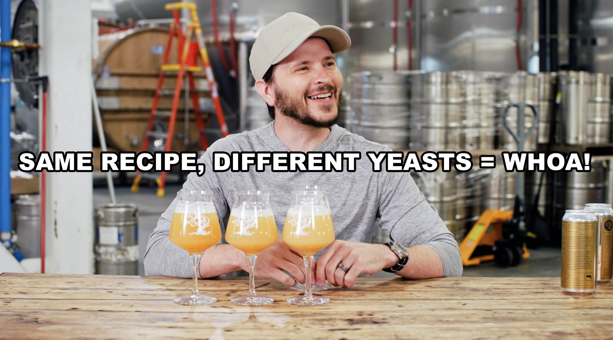 Tree House Brewing Co.🍺 on Twitter "This was fun trying each Data