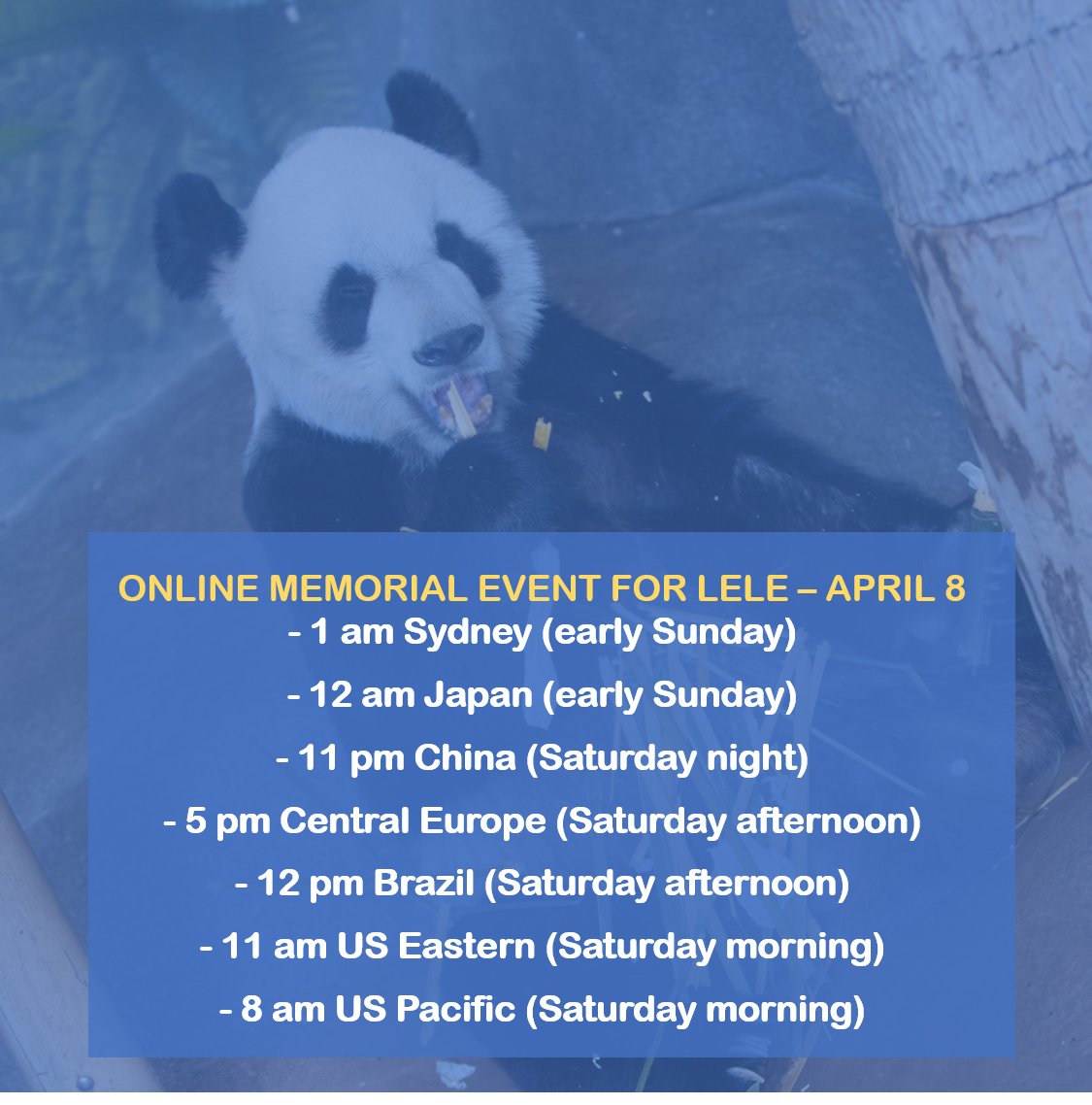 PandaVoicesOrg's tweet photo. Since we receiving many questions about the time of LeLe’s memorial on April 8, here is the time in different time zones! We can’t wait to see you all there to honor king LeLe and seek justice for him! Please register if you didn't do it yet! ❤️❤️
#justiceforlele #saveyaya https://t.co/Ye89vorEsC