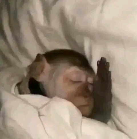 *النااس مستغربين ليه  مختفيه ومبردش على حد*

اناا قبل وبعد الفطاار :