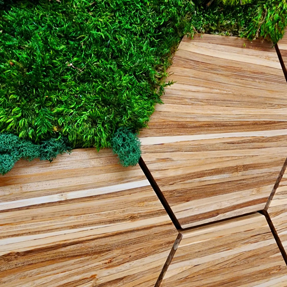 We're getting ready to open our showroom and can't wait to share our passion for sustainability with you!
 
Don't wait for our showroom to open to see what we're all about – DM us to arrange a private tour today! #lasvegas #sustainability #ecofriendly #homedecor