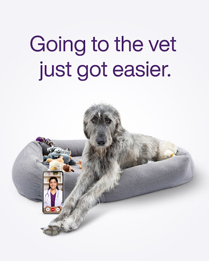 'Paw-some' news! Dog and cat owners in B.C. and Ontario can book virtual veterinary appointments with TELUS Health MyPet. Meet with a locally licensed veterinarian through a video consultation and get professional pet advice from the comfort of home:... #TeamTELUS