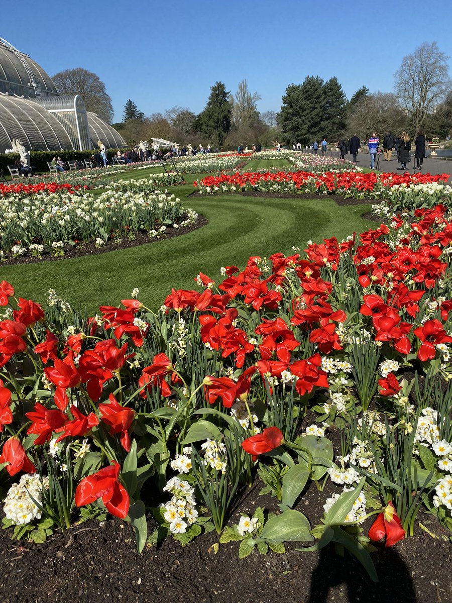 supernan200's tweet photo. Lovely day to visit Kew Gardens- stunning display of tulips https://t.co/yIjS0uHp7s