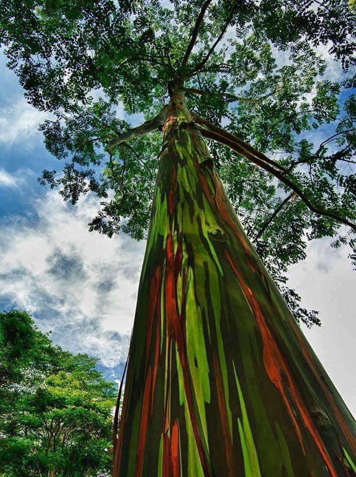 WeAreLocoal's tweet photo. The pure beauty in this world as we know it now.

If we don’t stop desertification, there will be no more beauty. https://t.co/Pv6E451HZt