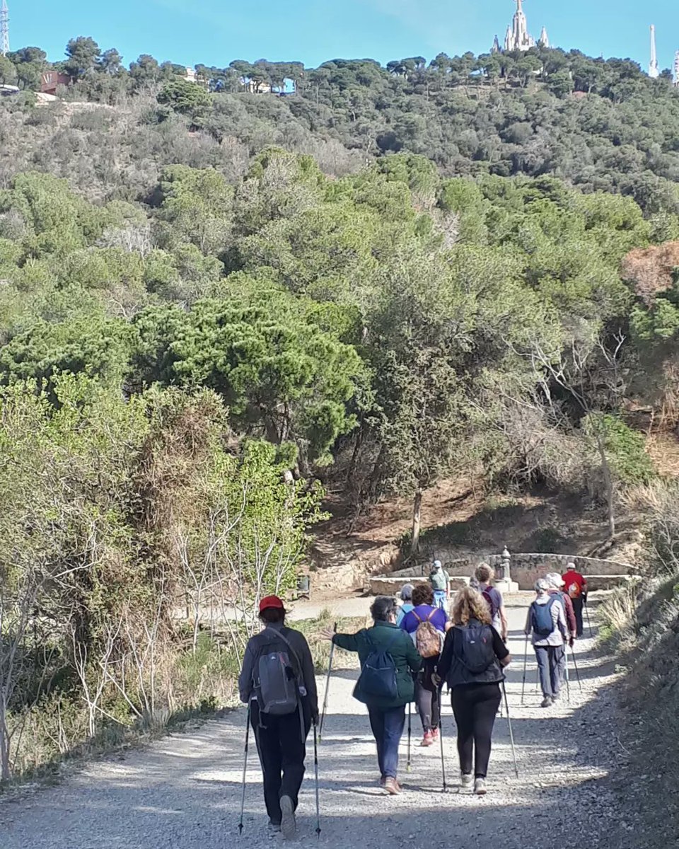 salutenactiu's tweet photo. Camí de Can Borni i Carretera de les Aigües en un dia excel.lent per a #FerSalut amb el #Grup65 del @COIBarcelona. #MarxaNòrdica https://t.co/CaDwTRMPRm