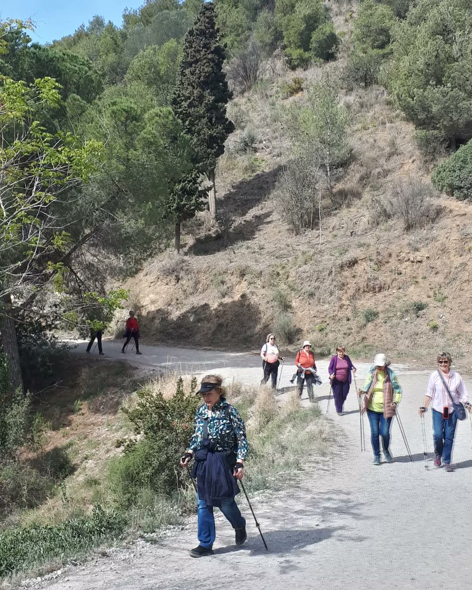 salutenactiu's tweet photo. Camí de Can Borni i Carretera de les Aigües en un dia excel.lent per a #FerSalut amb el #Grup65 del @COIBarcelona. #MarxaNòrdica https://t.co/CaDwTRMPRm