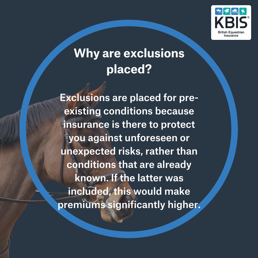 KBISInsurance's tweet photo. Do you have a query about an exclusion on your horse’s insurance policy? This should help to explain all 

And there’s more at https://t.co/Cb1STmHC5q #insurewithKBIS https://t.co/pWF1z1xzgY