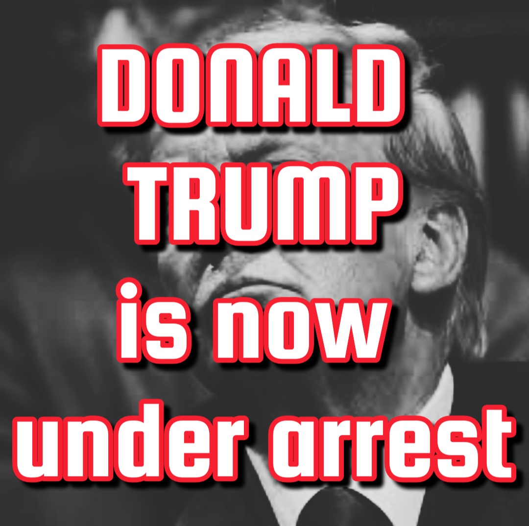 WeThePeople🇺🇸🇺🇸 (@princessbravato) on Twitter photo 