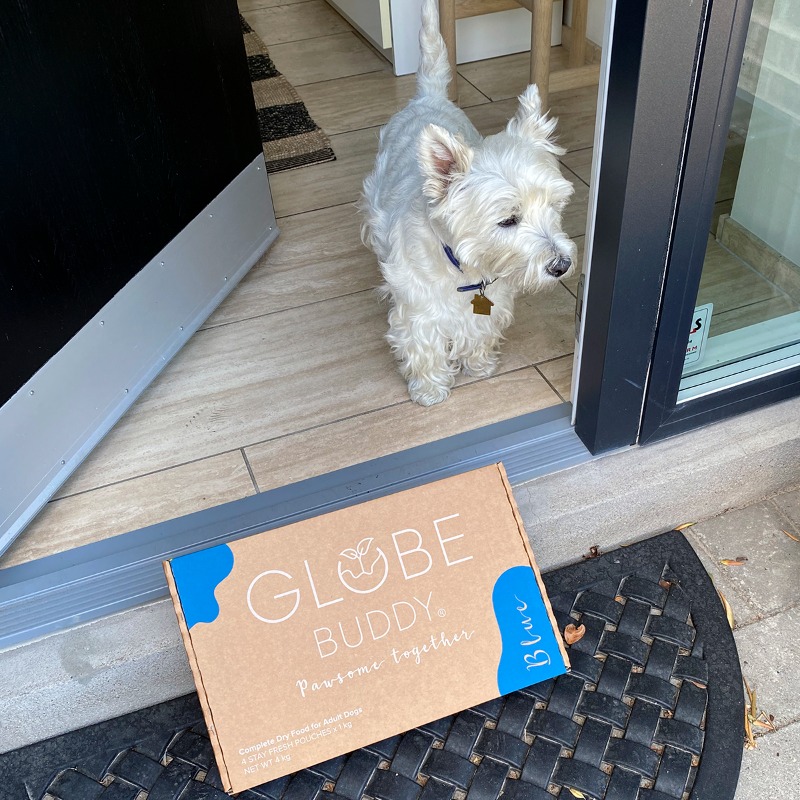 globebuddy's tweet photo. 🐶 Spiser din hund klimavenligt? 🌍 Globe Buddy er en dansk startup, og vi crowdfunder lige nu. Du gør en forskel her 👇

https://t.co/jXziXaQqaN

Og hvis du ikke selv har hund, så har din kollega og nabo måske 😊

#globebuddy #pawsometogether 🐾
#dkbiz #dkgreen #dkklima