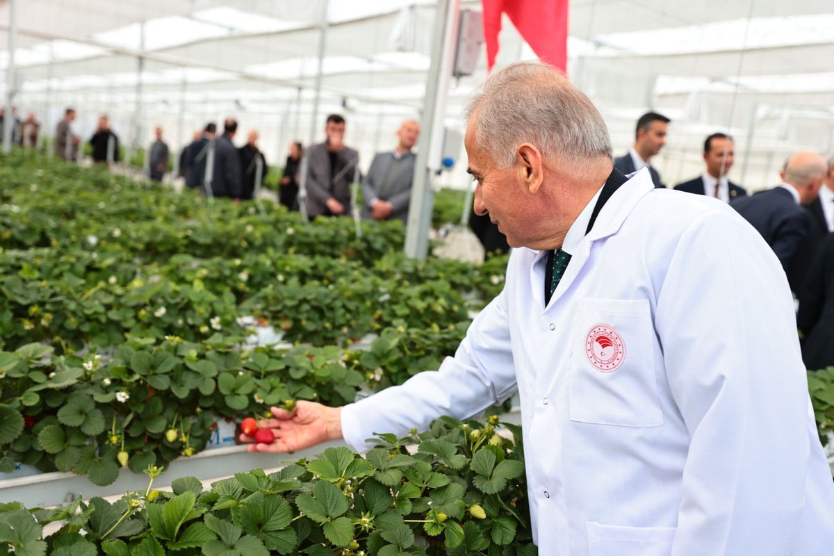 Osman Zolan