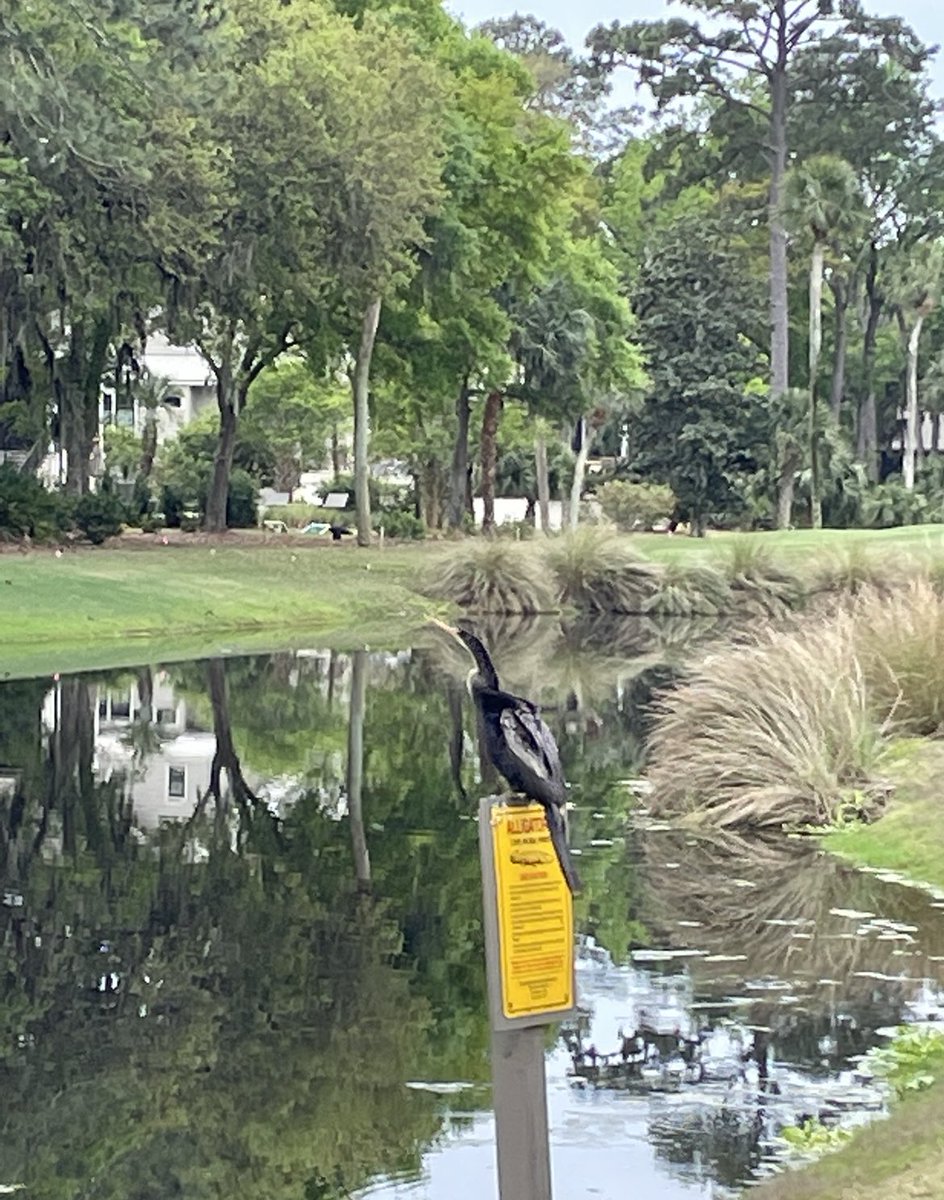 Andrew Murray tweet media